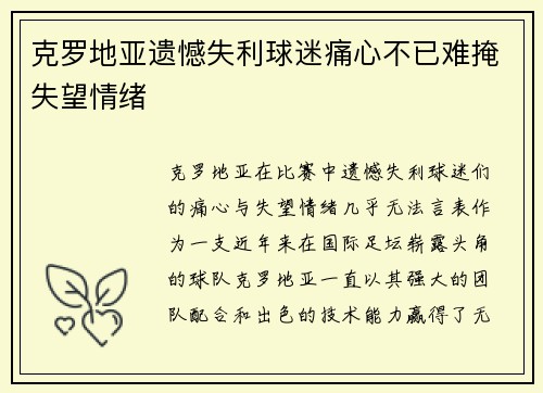 克罗地亚遗憾失利球迷痛心不已难掩失望情绪 克罗地亚遗憾失利球迷痛心不已难掩失望情绪