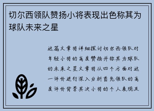 切尔西领队赞扬小将表现出色称其为球队未来之星